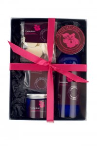Geranium Gift Box  Medium
