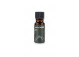 Basil Pure Essential Oil 
