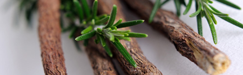 st kitts herbery - herb image
